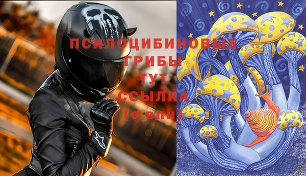 а пвп мука Куйбышев