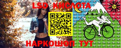 apvp Канаш