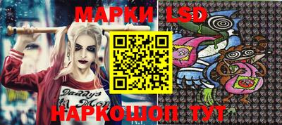 стафф Камышлов
