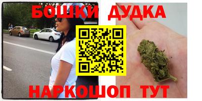 apvp Канаш