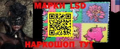 apvp Канаш