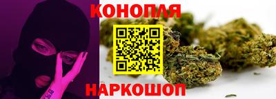 apvp Канаш