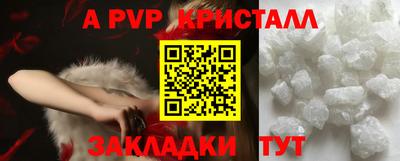 стафф Камышлов