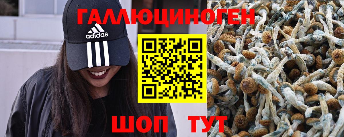 Галлюциногенные грибы мицелий Чебаркуль