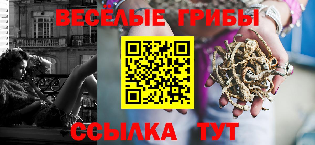 Псилоцибиновые грибы Psilocybine cubensis  Вход с VPN  Чебаркуль 